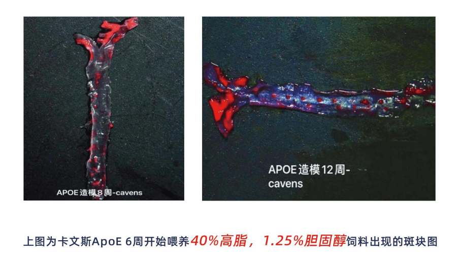 1648274371115018.png image.png