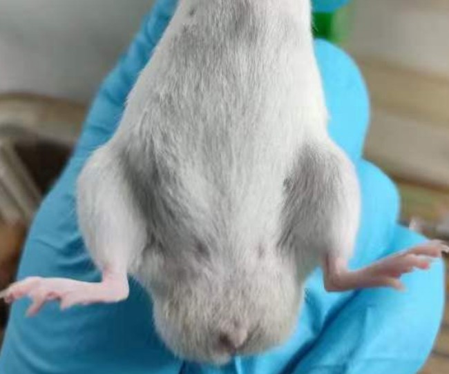 1760344909151514.jpg 3.jpg