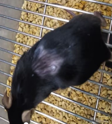 1760345153195198.jpg 7.jpg