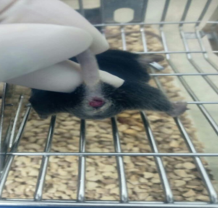 1760345183996151.jpg 8.jpg